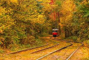 Autumn forest through which an old tram rides Ukraine photo