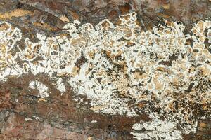 macro mineral bismuth stone on hartenstein schacht on white background photo