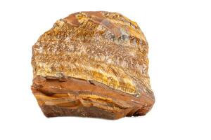 Macro mineral stone Tiger's eye in the breed on a white background photo