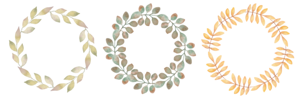 A set of elegant round frames, garlands, wreaths or borders made from branches with leaves. Botanical design element. Suitable for Thanksgiving cards, invitations, quotes. Handmade watercolor art. png
