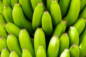 Background with green bananas photo