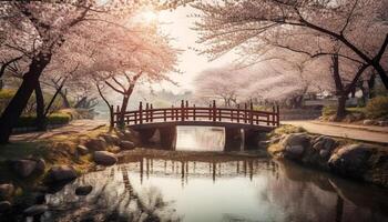 Cherry blossom tree reflects in tranquil pond generated by AI photo