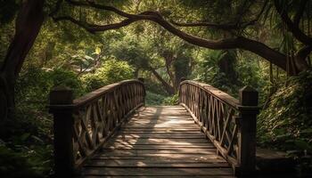 Tranquil footbridge crosses lush tropical mangrove wilderness area generated by AI photo