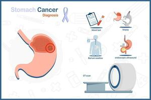 Vector illustration in flat style on stomach cancer concept. Stomach cancer diagnosis.blood test,biopsy,Barium swallow,endoscopic ultrasound,CT scan.isolated on white background.