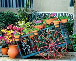 A flower cart photo