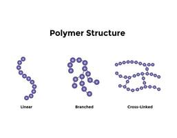 Types of Protein Structure. Proteins are biological polymers composed of amino acids. vector