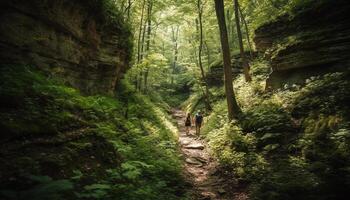 Two backpackers walking on footpath through forest generated by AI photo