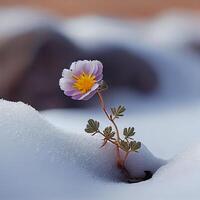 Single frozen crocus showcases winter icy beauty generated by AI photo