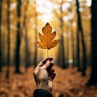 a hand holding a yellow leaf in a forest. AI Generative photo