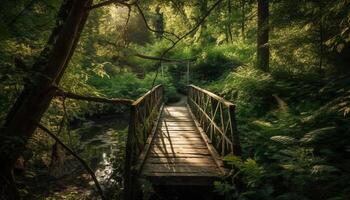 Walking on footbridge, surrounded by lush greenery generated by AI photo