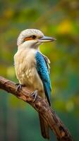 alas azules Kookaburra pájaro encaramado en un rama. ai generativo foto