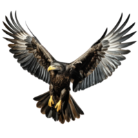 a flying eagle isolated png