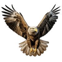 a flying eagle isolated png