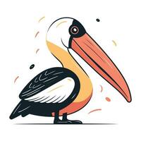 Pelican vector illustration. Isolated pelican on white background.