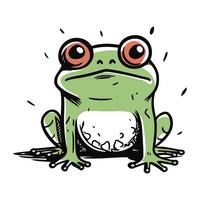 Cute cartoon frog on white background. Vector illustration for your design