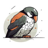 Hand drawn vector illustration of a red backed kestrel.