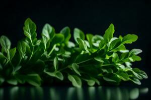 This picture is of arugula, which is a type of green leafy vegetable It was captured close inside a studio with a dark background AI Generated photo