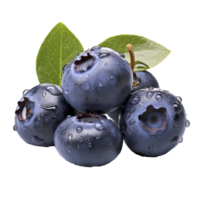 tasty dark blue blueberries isolated png