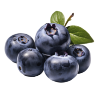 tasty dark blue blueberries isolated png