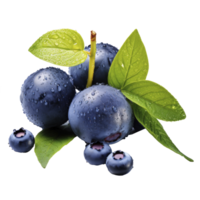 cut mango, blueberries and mint, isolated png