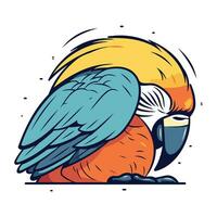 Parrot with parrot helmet. Vector illustration isolated on white background.