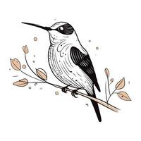 Hand drawn vector illustration of a bird sitting on a branch with leaves.