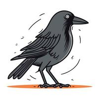 Jackdaw. Vector illustration of a black crow on a white background.