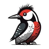 Dendrocopos major. Woodpecker. Vector illustration.