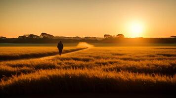 Rear view of a farmer at dawn, walking through a dew kissed corn field towards distant grain silos. photo