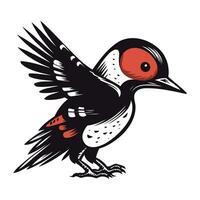 Dendrocopos major. Woodpecker. Vector illustration.