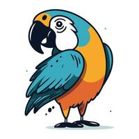 Cartoon parrot. Vector illustration of a colorful parrot.