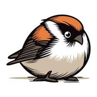 Bullfinch. bullfinch. Vector illustration of a bullfinch.