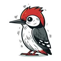 Woodpecker bird isolated on white background. Hand drawn vector illustration.