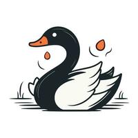 Vector illustration of a black swan on a white background. Vector illustration.