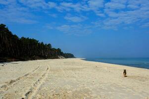 Baltick Sea landscape photo