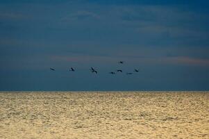 Baltick Sea landscape photo