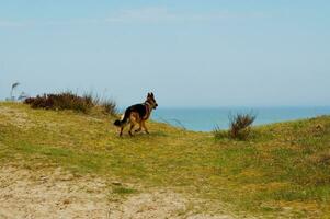 Baltick Sea landscape photo