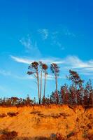 báltico mar paisaje foto