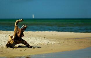 Baltick Sea landscape photo