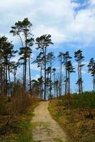 Baltick Sea landscape photo