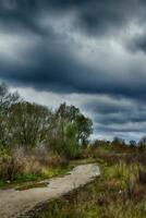 spring landscape with trees and a wide meadow path, photo