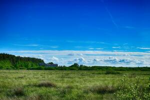 picturesque spring landscape with blue sky and green fields photo