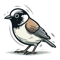 piñonero pájaro. vector ilustración de un piñonero.