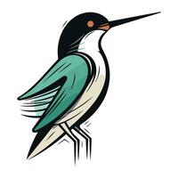 vector ilustración de un colibrí aislado en un blanco antecedentes. mano dibujado estilo.