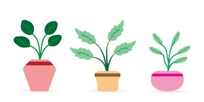 Pot plant vector set. Houseplant minimalistic style collection. Decorative plants for home and office isolated on white background.