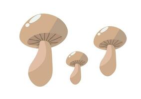 Cartoon vector icon illustration of mushroom on white background used for magazine, book, poster, card, menu cover, web pages.