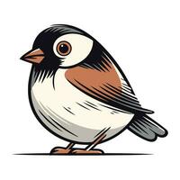 Chickadee bird isolated on white background. Vector illustration.