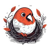 Hand drawn vector illustration of a cute red bird in a nest.