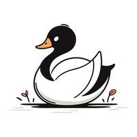 Vector illustration of a swan on a white background. Vector illustration.