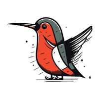 colibrí vector ilustración. colibrí en blanco antecedentes.